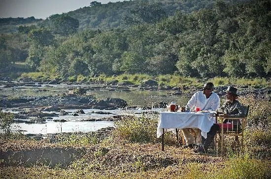 safari