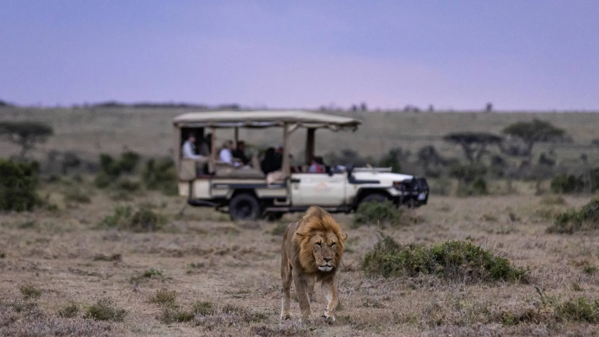 masai mara safari