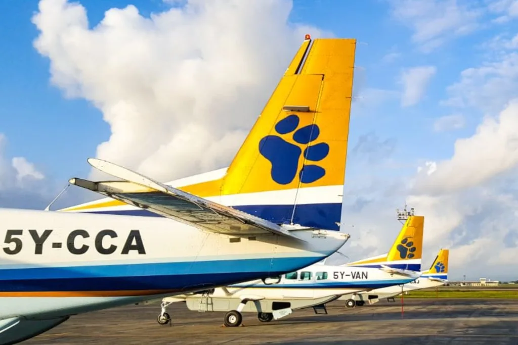Safarilink propeller airplanes with yellow tails parked on an airport tarmac.