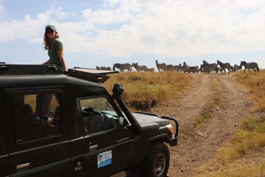 Safari vehicles parked near the river watching wildebeest during a migration safari Masai Mara.