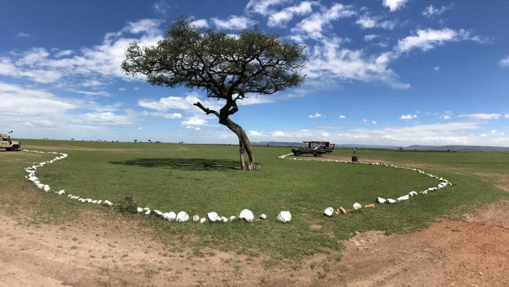 A single acacia tree surrounded by white stones on a Masai Mara savanna airstrip.