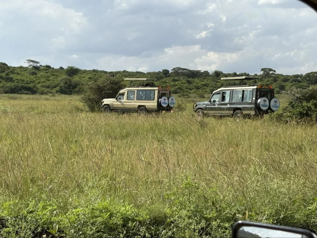 Two pop-top 4x4 safari land cruisers parked in tall grass across the open Kenyan savannah.