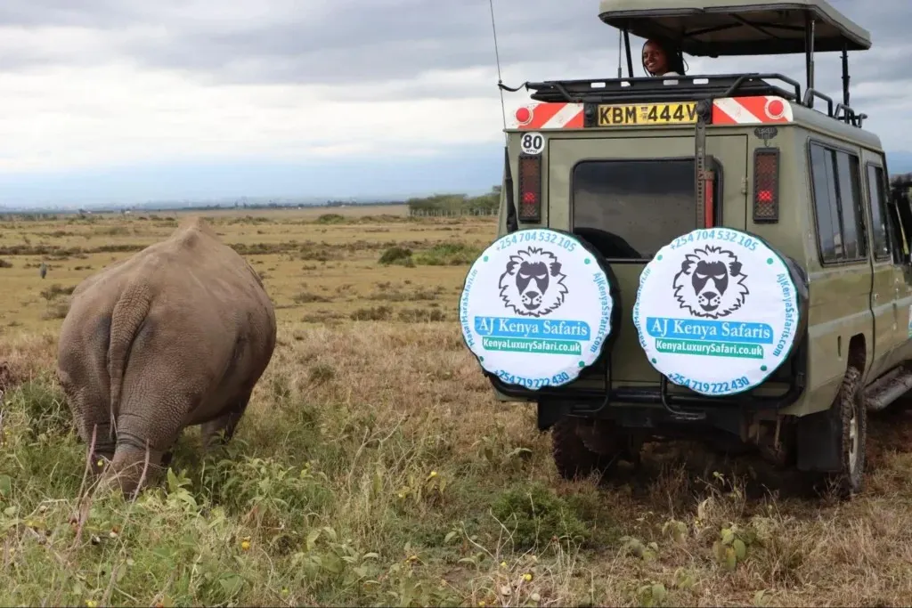 A green 4x4 safari cruiser parked near a grazing white rhino after traveling from mombasa to masai mara.