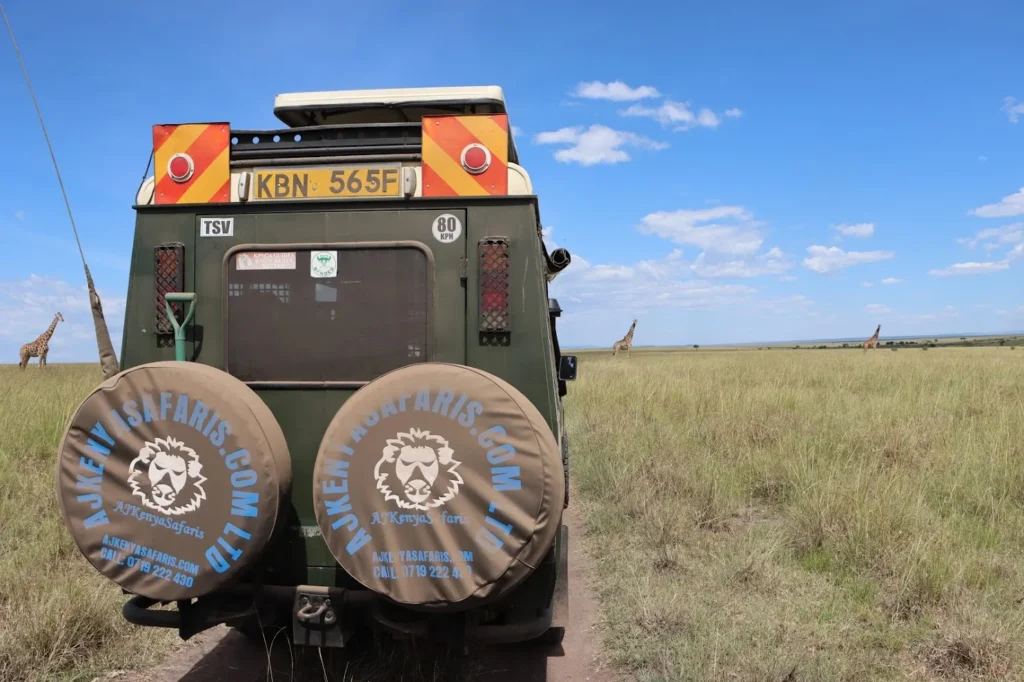 Rear view of a green safari vehicle on a dirt road with distant giraffes.