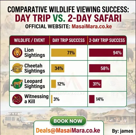 Infographic table comparing wildlife viewing success rates between day trips and two-day safaris.