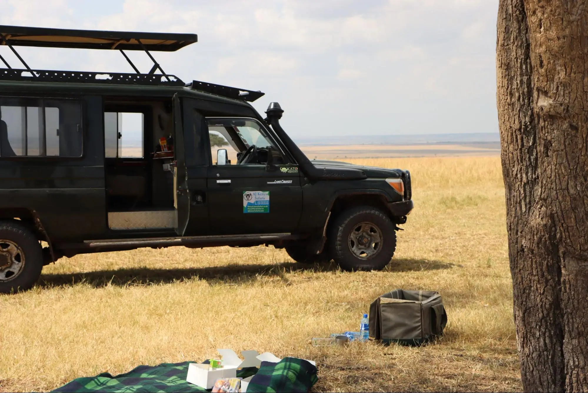 Private 4x4 safari Land Cruiser parked next to a scenic savannah bush picnic spot.