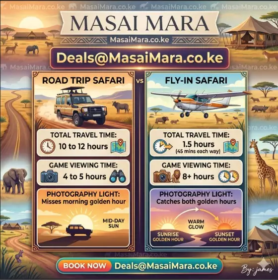 Infographic comparing Masai Mara road trip versus fly-in safari travel times and game viewing.