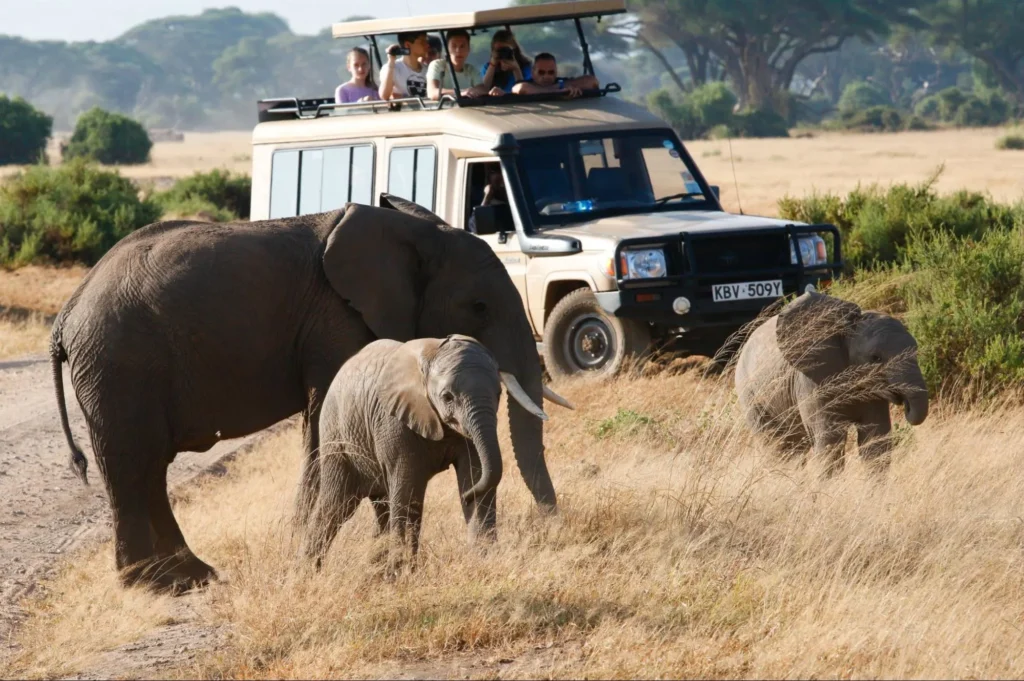 An elephant family walking past a 4x4 safari vehicle with tourists.