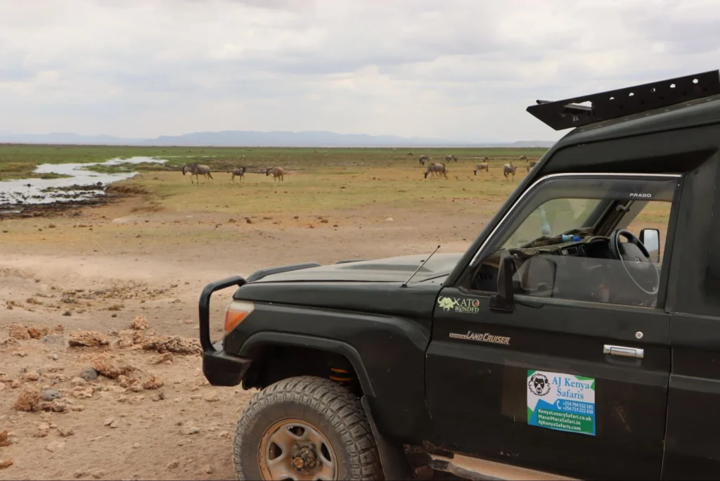A 4x4 safari vehicle parked near a herd of wildebeests grazing in Kenya.