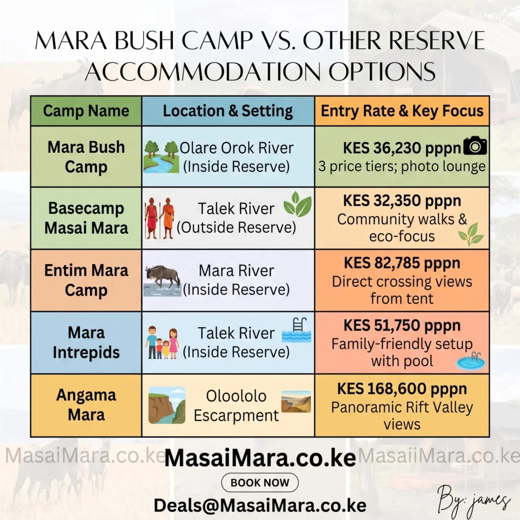 Infographic comparing Mara Bush Camp rates and features against other top Masai Mara safari lodges.