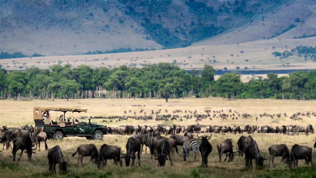 Bateleur Camp Masai Mara safari vehicle parked near a large herd of migrating wildebeest.