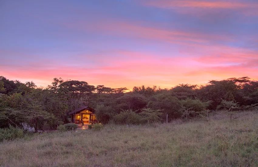 A luxury safari tent illuminated at dusk under a vibrant pink and purple sunset sky at Sarova Mara Game Camp.